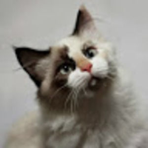 Meet your Posher, Angie